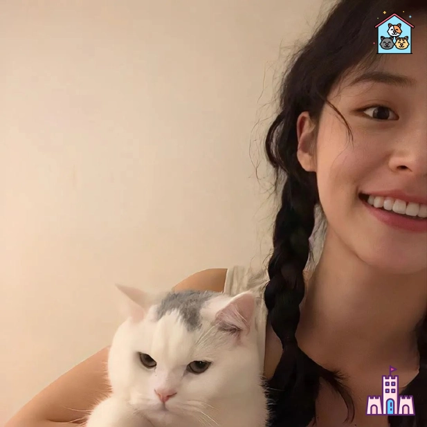 云起